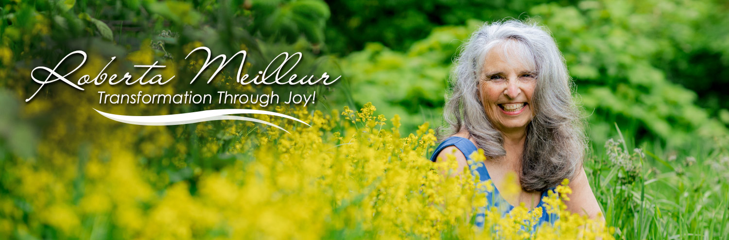 banner roberta in field of flowers